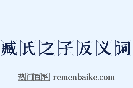 臧氏之子反义词是什么意思的图片